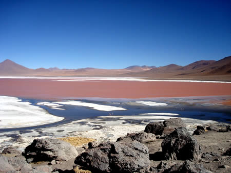Озеро Красная лагуна в Боливии
