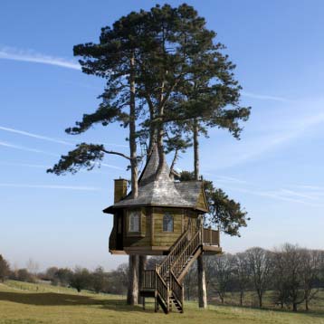 необычные и странные дома на дереве